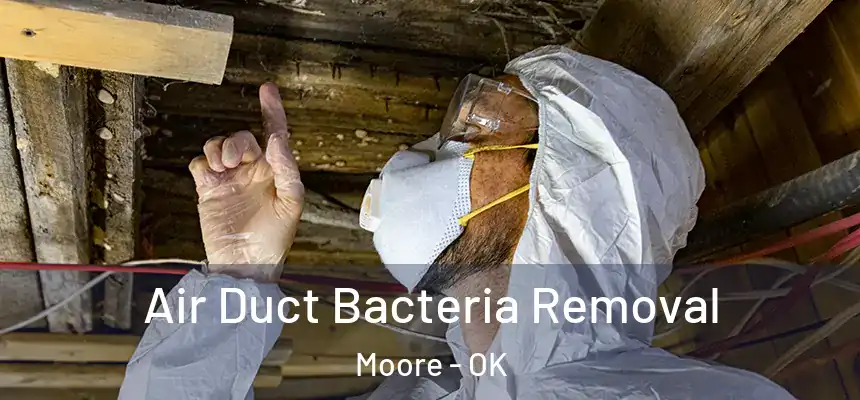  Air Duct Bacteria Removal Moore - OK