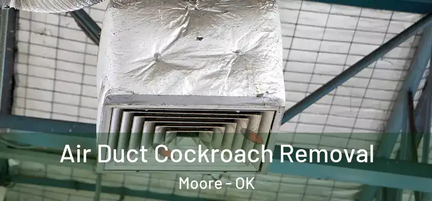 Air Duct Cockroach Removal Moore - OK