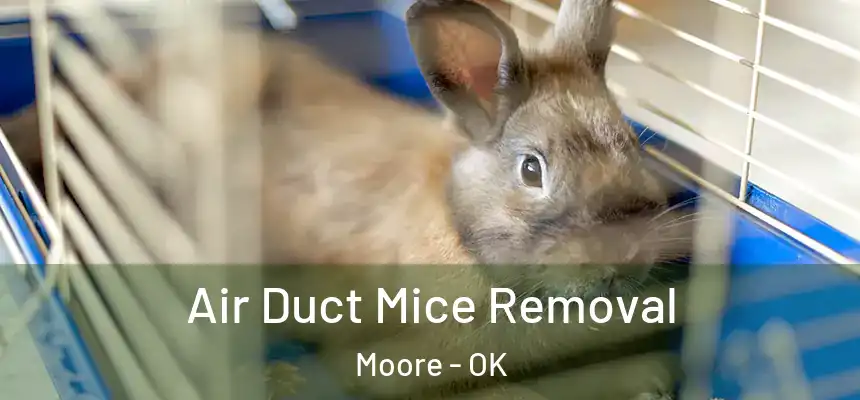 Air Duct Mice Removal Moore - OK