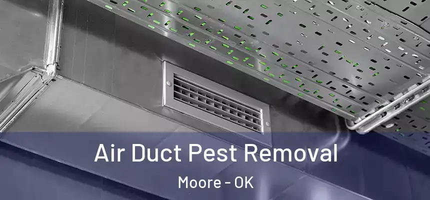  Air Duct Pest Removal Moore - OK