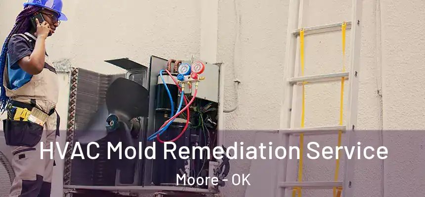  HVAC Mold Remediation Service Moore - OK