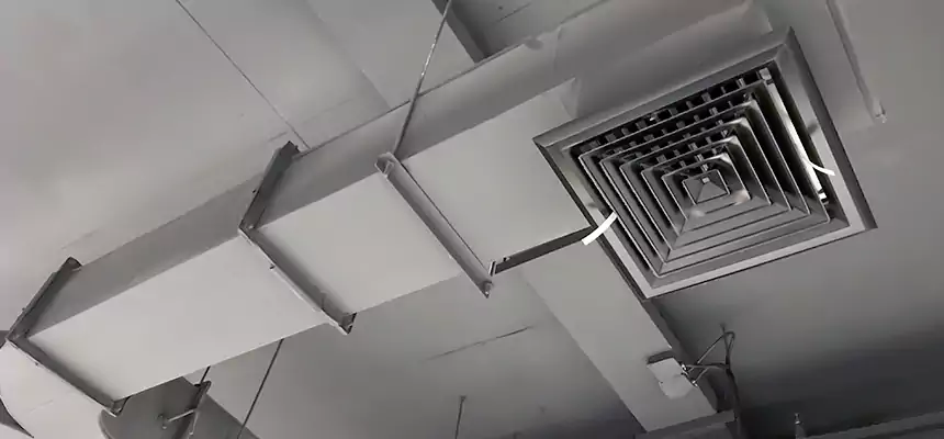 Restorative Allergy Relief Vent Cleaning – Coil, Blower & Housing Detail in Moore