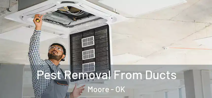 Pest Removal From Ducts Moore - OK