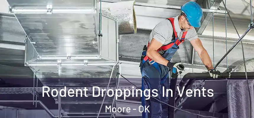 Rodent Droppings In Vents Moore - OK