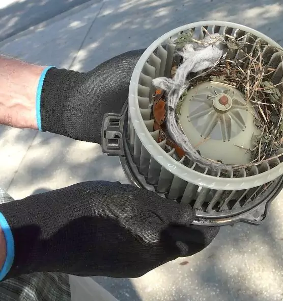 About Air Duct Mice Removal in Moore, OK